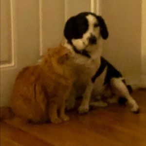 Meet your Posher, Jeanette